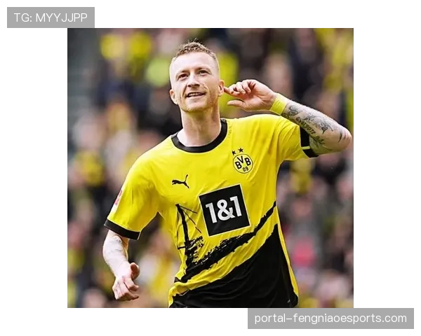 告别伊杜纳信号公园：罗伊斯在最后一个主场赛后向南看台挥手致意