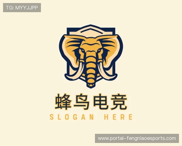 解读蜂鸟电竞团队